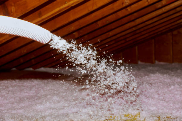 Best Insulation Maintenance and Repair in Zebulon, NC