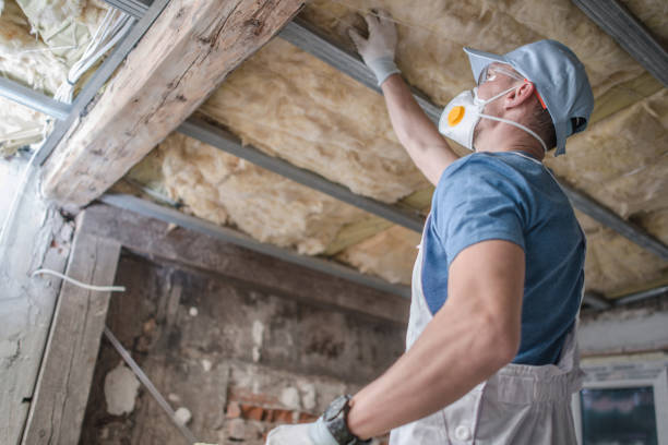 Best Specialty Insulation in Zebulon, NC