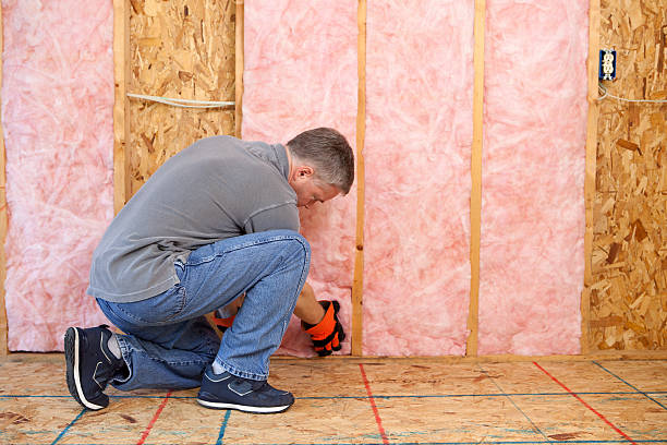 Best Energy Efficiency Solutions in Zebulon, NC